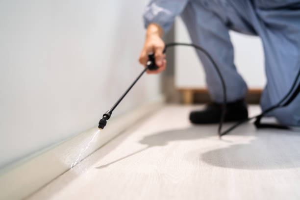 Licensed Cockroach Control service in Sullivan, IN - Nex Pest Control
